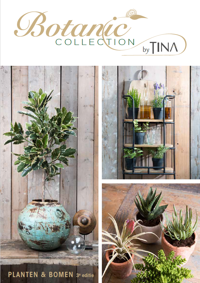 Botanic Collection by Tina Groen #1